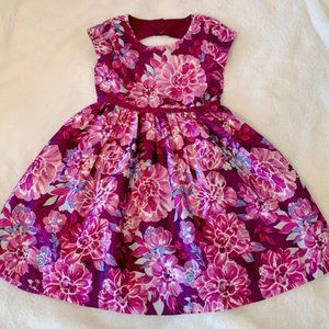 Gymboree Little Girl's Special Occasion Dress, Size 5